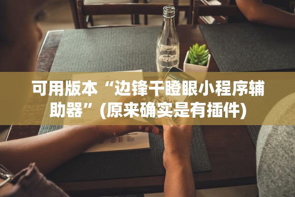 可用版本“边锋干瞪眼小程序辅助器”(原来确实是有插件)