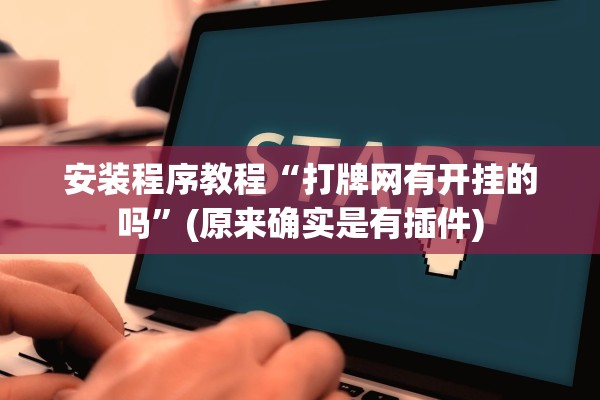 安装程序教程“打牌网有开挂的吗”(原来确实是有插件)