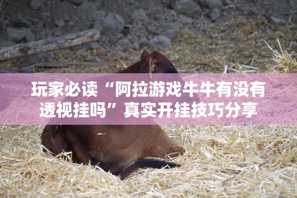 玩家必读“阿拉游戏牛牛有没有透视挂吗	”真实开挂技巧分享