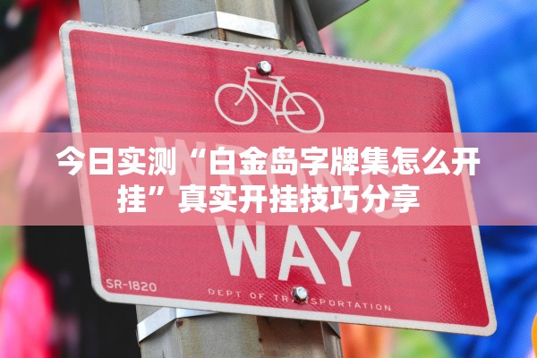 今日实测“白金岛字牌集怎么开挂”真实开挂技巧分享