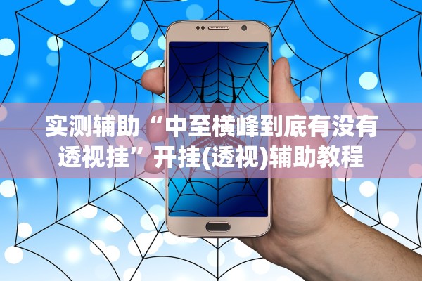 实测辅助“中至横峰到底有没有透视挂”开挂(透视)辅助教程