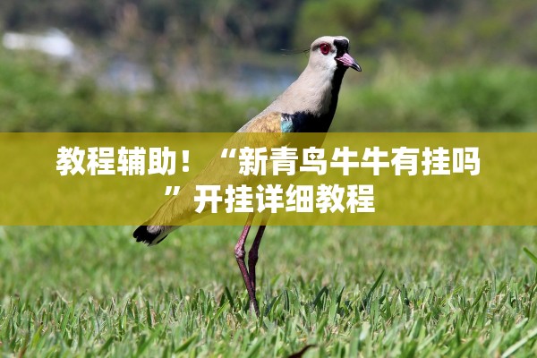 教程辅助！“新青鸟牛牛有挂吗”开挂详细教程