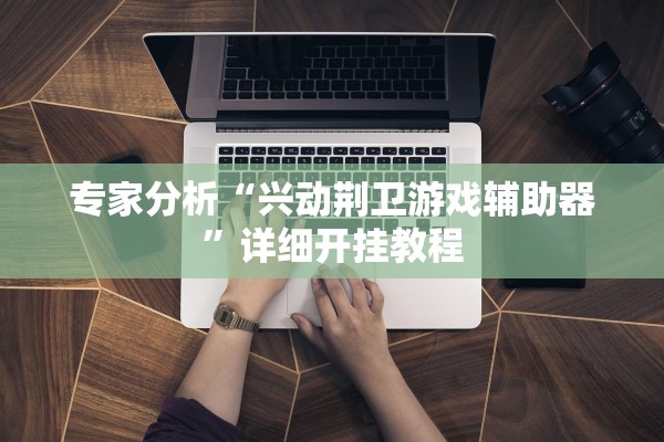 专家分析“兴动荆卫游戏辅助器”详细开挂教程