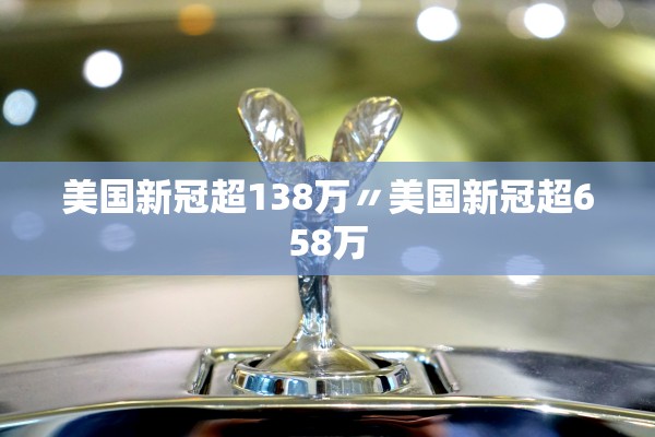 美国新冠超138万〃美国新冠超658万