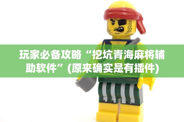 玩家必备攻略“挖坑青海麻将辅助软件”(原来确实是有插件)
