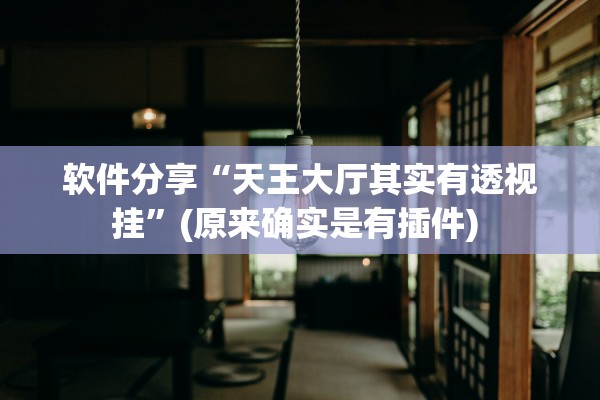软件分享“天王大厅其实有透视挂”(原来确实是有插件) 