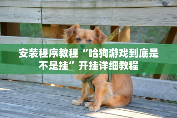 安装程序教程“哈狗游戏到底是不是挂	”开挂详细教程