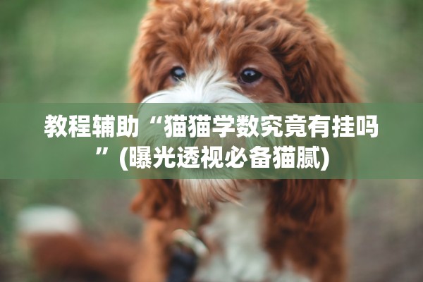 教程辅助“猫猫学数究竟有挂吗”(曝光透视必备猫腻)