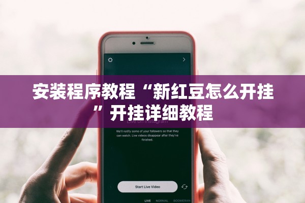 安装程序教程“新红豆怎么开挂”开挂详细教程