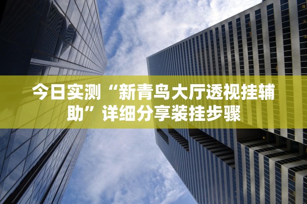 今日实测“新青鸟大厅透视挂辅助”详细分享装挂步骤