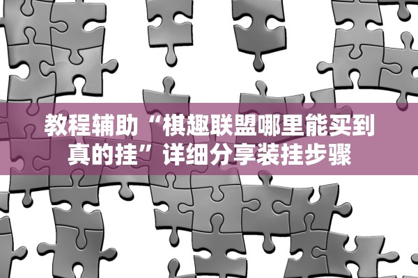 教程辅助“棋趣联盟哪里能买到真的挂”详细分享装挂步骤