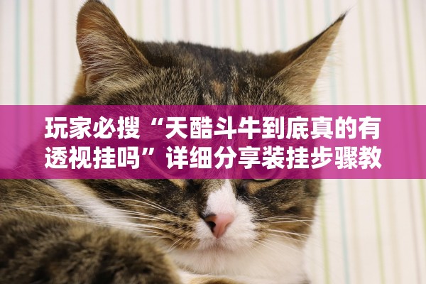 玩家必搜“天酷斗牛到底真的有透视挂吗”详细分享装挂步骤教程