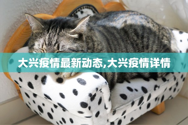 大兴疫情最新动态,大兴疫情详情