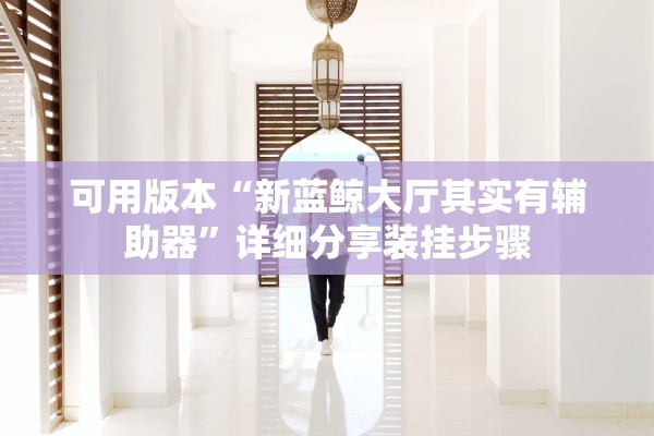 可用版本“新蓝鲸大厅其实有辅助器”详细分享装挂步骤