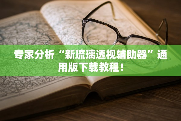 专家分析“新琉璃透视辅助器”通用版下载教程！