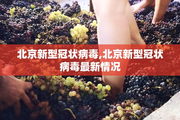 北京新型冠状病毒,北京新型冠状病毒最新情况