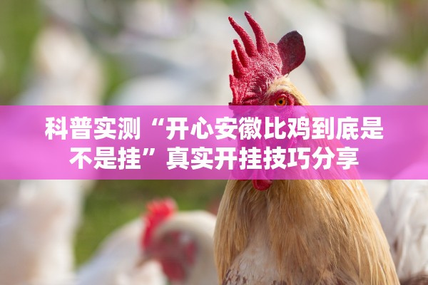 科普实测“开心安徽比鸡到底是不是挂”真实开挂技巧分享