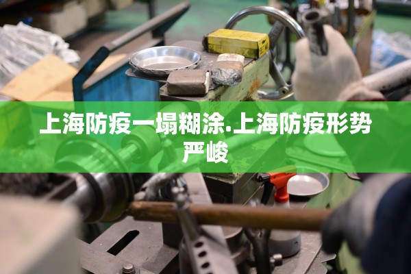 上海防疫一塌糊涂.上海防疫形势严峻