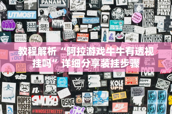 教程解析“阿拉游戏牛牛有透视挂吗”详细分享装挂步骤