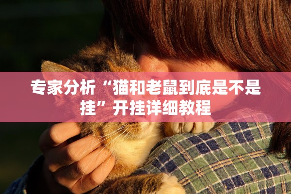 专家分析“猫和老鼠到底是不是挂”开挂详细教程