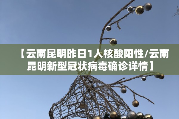【云南昆明昨日1人核酸阳性/云南昆明新型冠状病毒确诊详情】