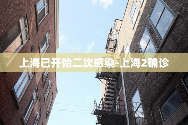 上海已开始二次感染-上海2确诊