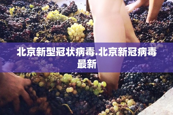 北京新型冠状病毒.北京新冠病毒最新
