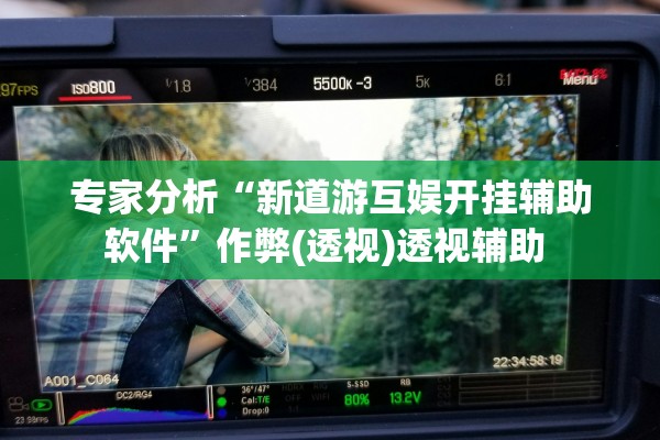 专家分析“新道游互娱开挂辅助软件”作弊(透视)透视辅助 