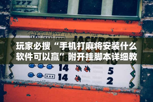 玩家必搜“手机打麻将安装什么软件可以赢”附开挂脚本详细教程-知乎