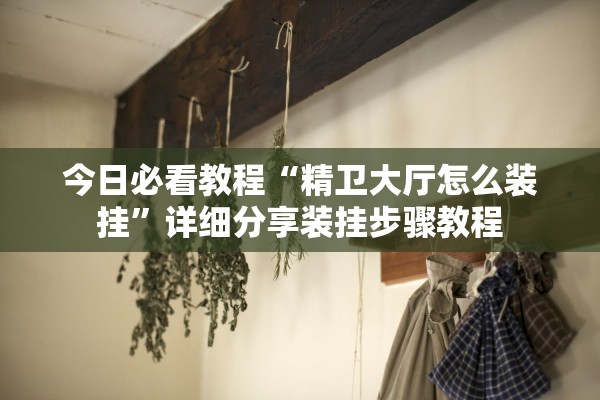 今日必看教程“精卫大厅怎么装挂”详细分享装挂步骤教程