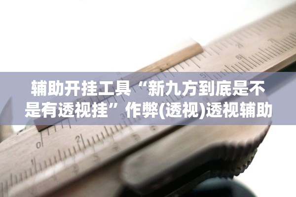 辅助开挂工具“新九方到底是不是有透视挂”作弊(透视)透视辅助 