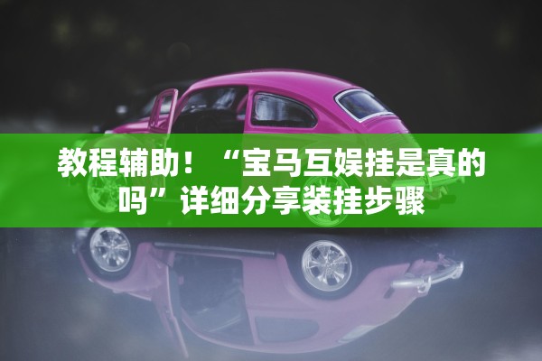 教程辅助！“宝马互娱挂是真的吗”详细分享装挂步骤