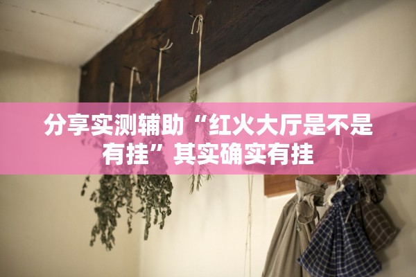 分享实测辅助“红火大厅是不是有挂	”其实确实有挂