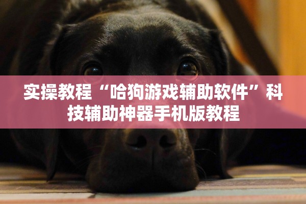实操教程“哈狗游戏辅助软件	”科技辅助神器手机版教程