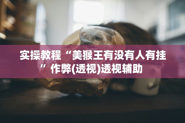 实操教程“美猴王有没有人有挂”作弊(透视)透视辅助 
