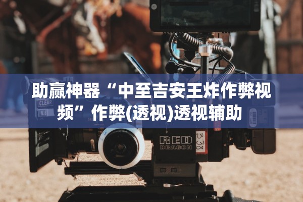 助赢神器“中至吉安王炸作弊视频”作弊(透视)透视辅助 