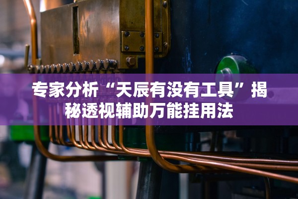 专家分析“天辰有没有工具”揭秘透视辅助万能挂用法