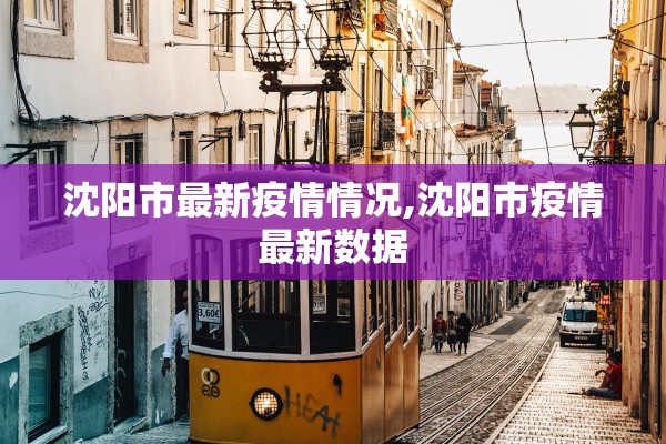 沈阳市最新疫情情况,沈阳市疫情最新数据