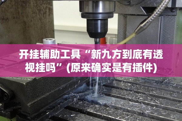开挂辅助工具“新九方到底有透视挂吗”(原来确实是有插件)