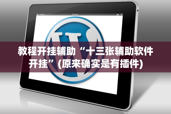 教程开挂辅助“十三张辅助软件开挂	”(原来确实是有插件)