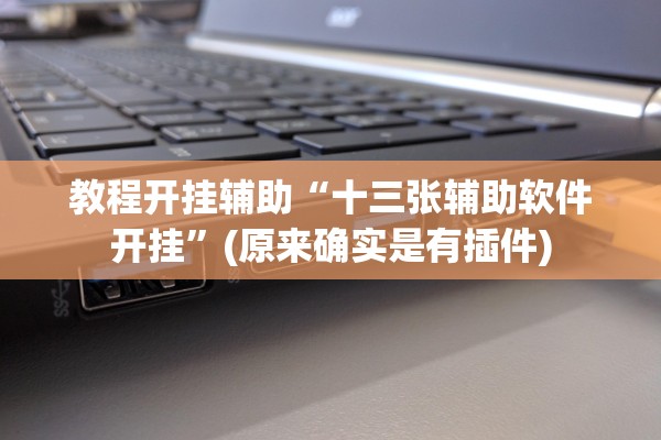 教程开挂辅助“十三张辅助软件开挂”(原来确实是有插件)