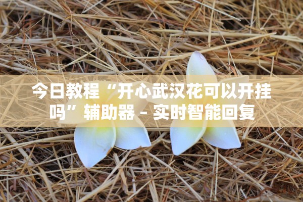 今日教程“开心武汉花可以开挂吗”辅助器 – 实时智能回复