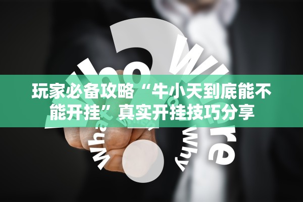 玩家必备攻略“牛小天到底能不能开挂”真实开挂技巧分享