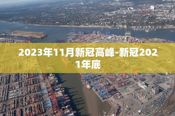 2023年11月新冠高峰-新冠2021年底