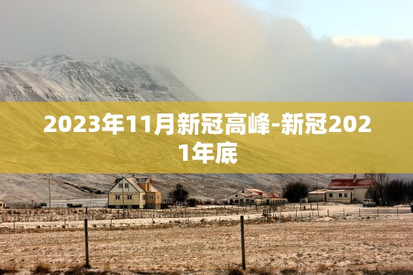 2023年11月新冠高峰-新冠2021年底