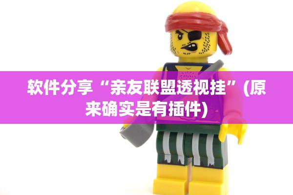 软件分享“亲友联盟透视挂”(原来确实是有插件)