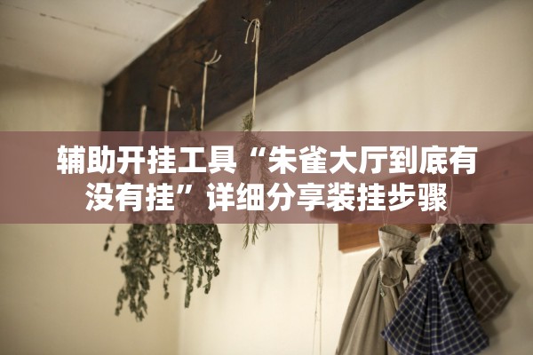 辅助开挂工具“朱雀大厅到底有没有挂”详细分享装挂步骤