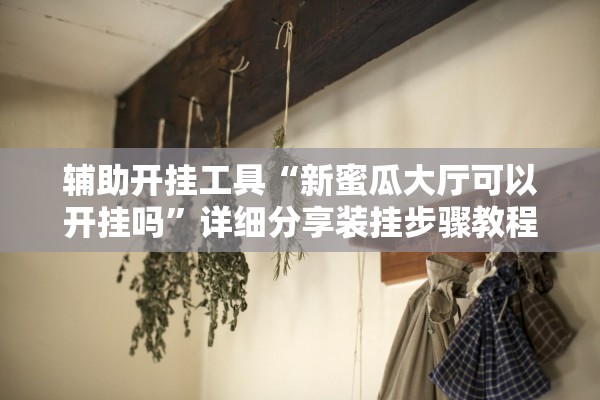 辅助开挂工具“新蜜瓜大厅可以开挂吗”详细分享装挂步骤教程