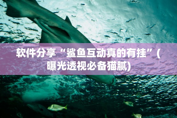 软件分享“鲨鱼互动真的有挂”(曝光透视必备猫腻)