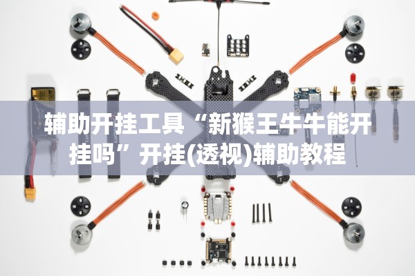 辅助开挂工具“新猴王牛牛能开挂吗”开挂(透视)辅助教程